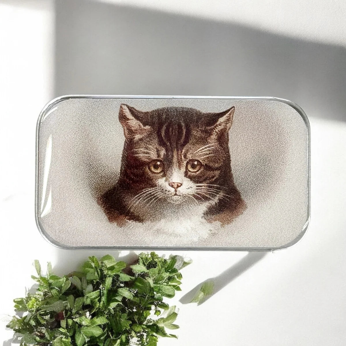 Firefly Notes Grumpy Cat Tin