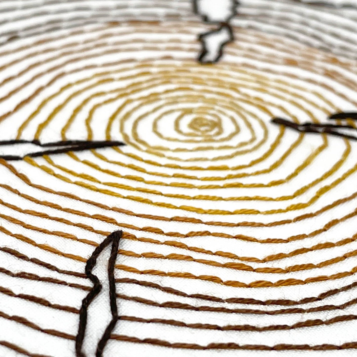 Embroidery and Sage Tree Rings Embroidery Kit