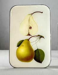 Firefly Notes Botanical Pear Tin