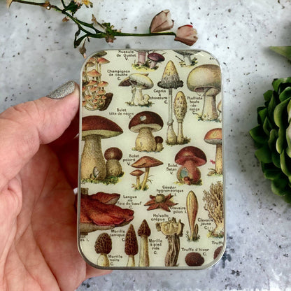 Hand holding a small tin with mushroom illustrations on a light background