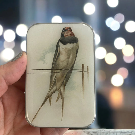 FireFly Notes French Swallow