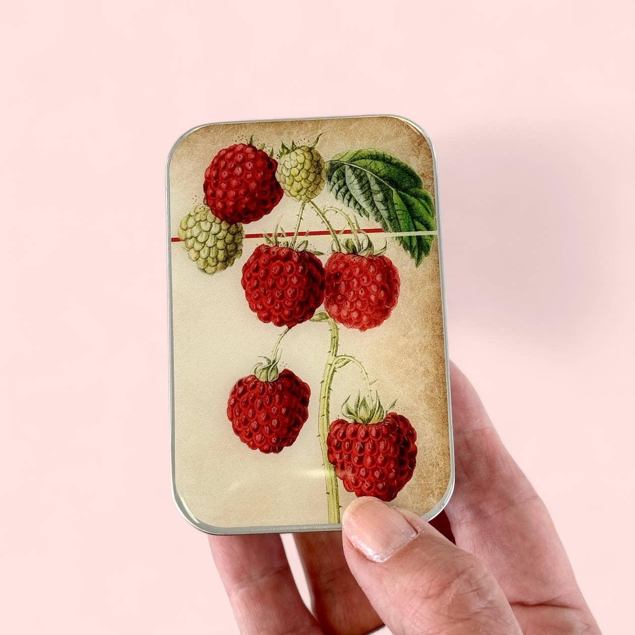 Hand holding a small tin with raspberry design on a pink background
