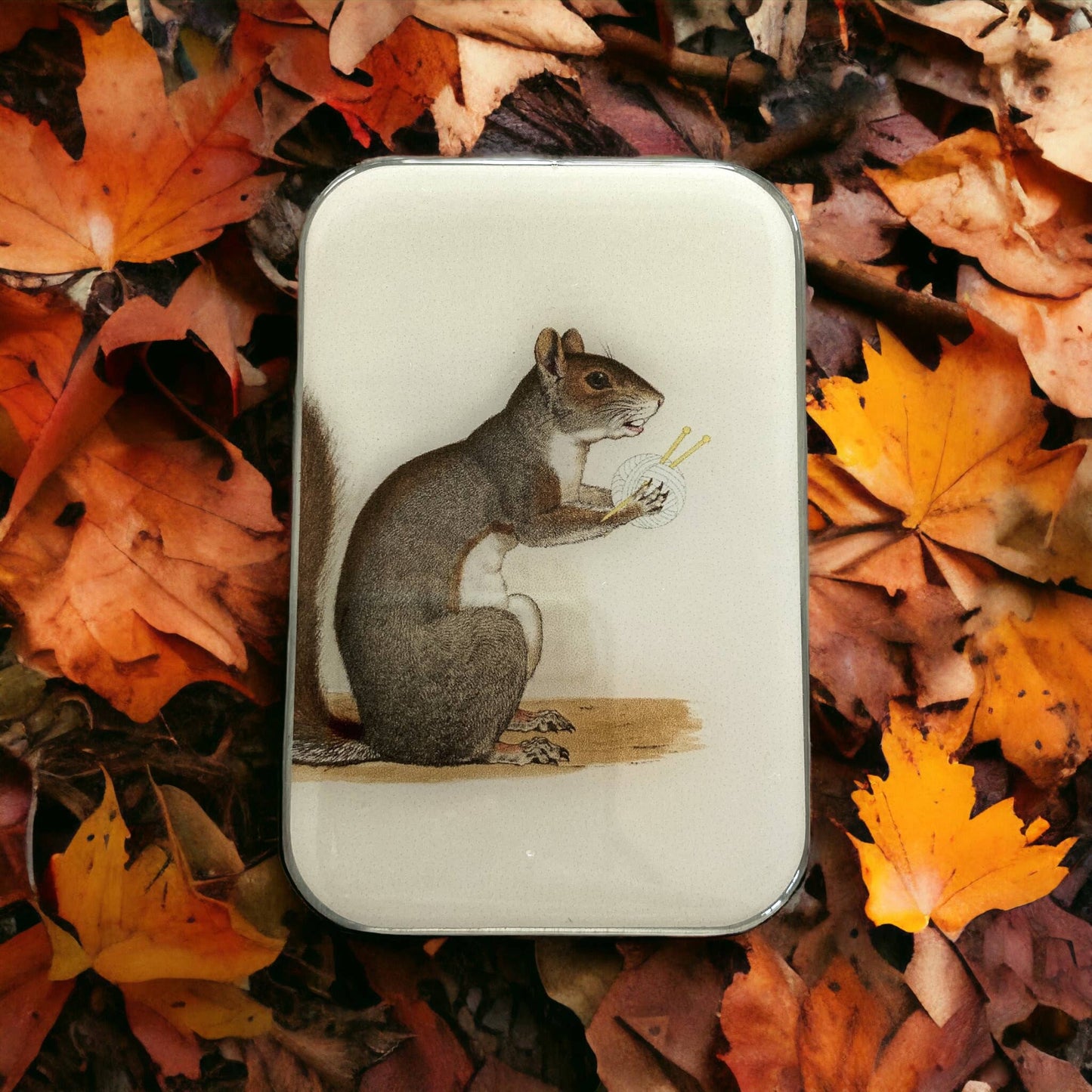 Tin with a squirrel design on a bed of autumn leaves