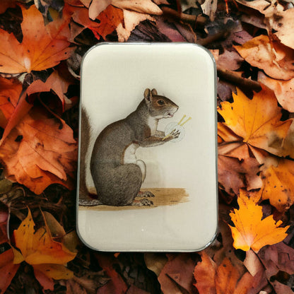 Tin with a squirrel design on a bed of autumn leaves