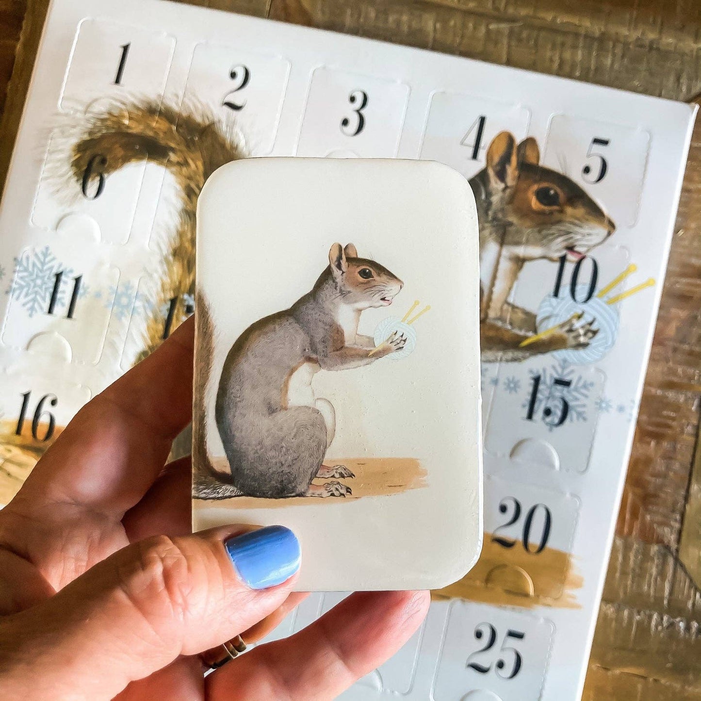 Hand holding a tin with a squirrel illustration in front of a calendar with squirrel images.