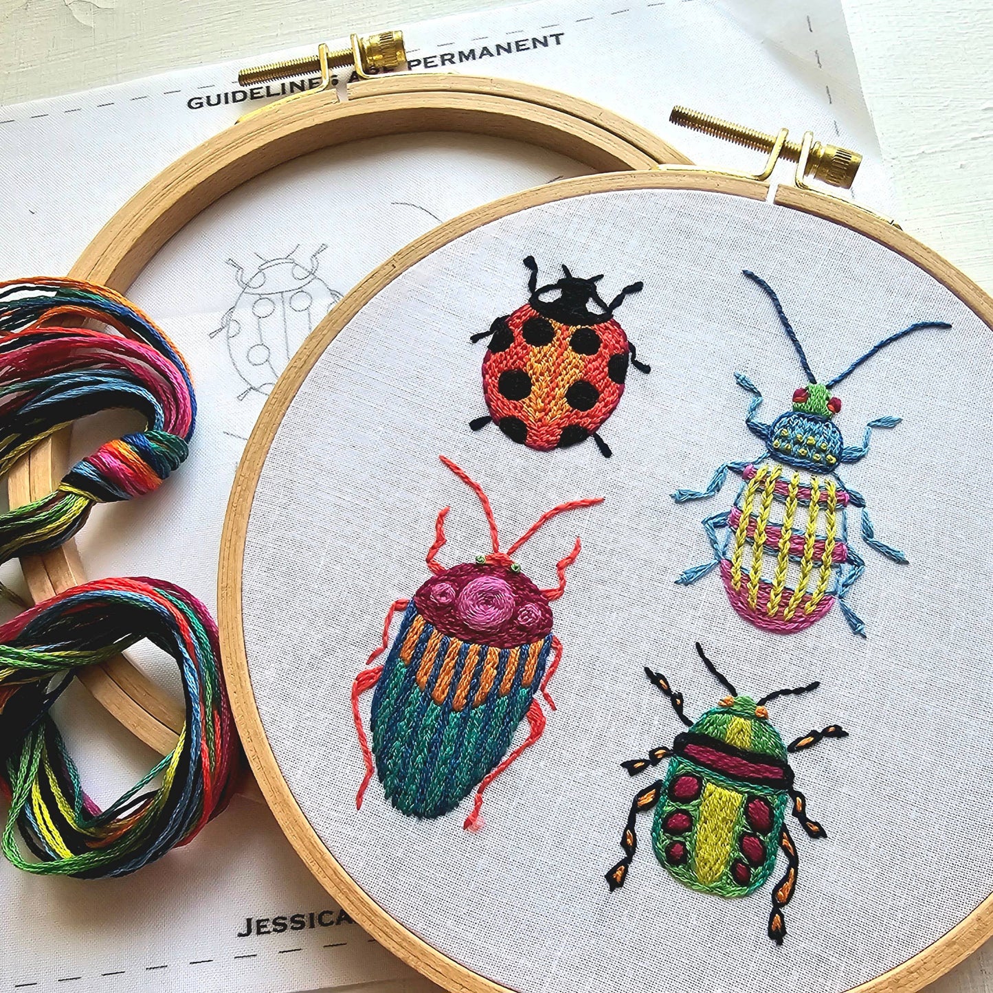 Jessica Long Beetle Collection Embroidery Kit